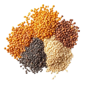 pulses-dal