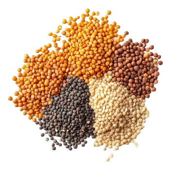 Pulses / Dal